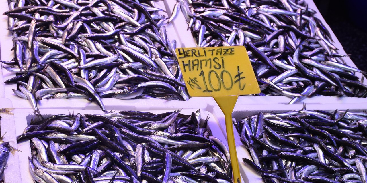 Hamside 'Fırtına' Ve 'Soğuk Hava' Etkisi