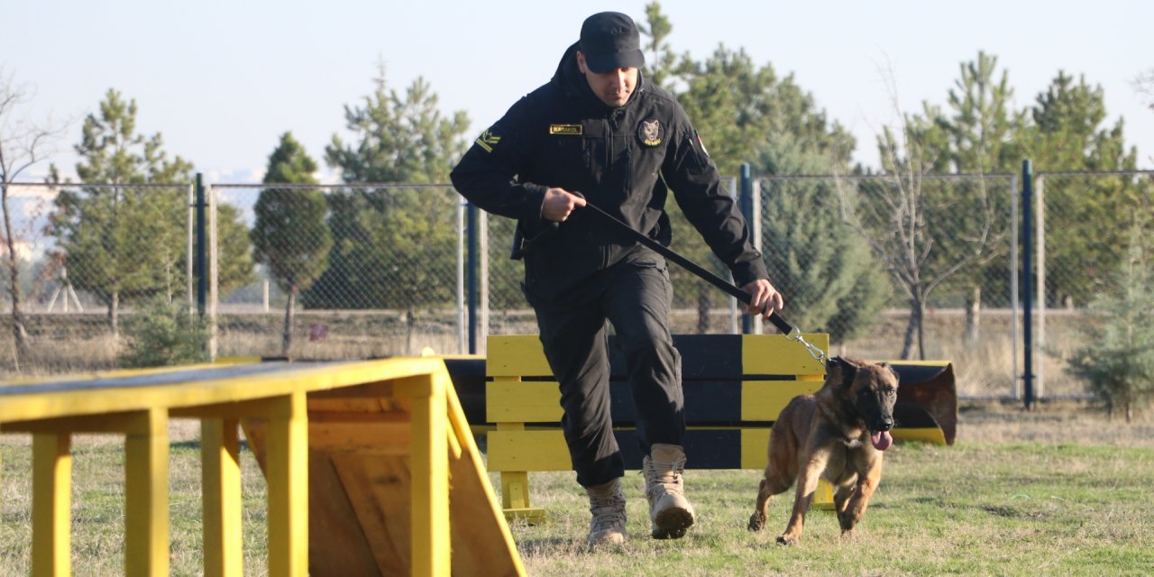 Türk Hava Kuvvetleri'nin Hassas Burunları