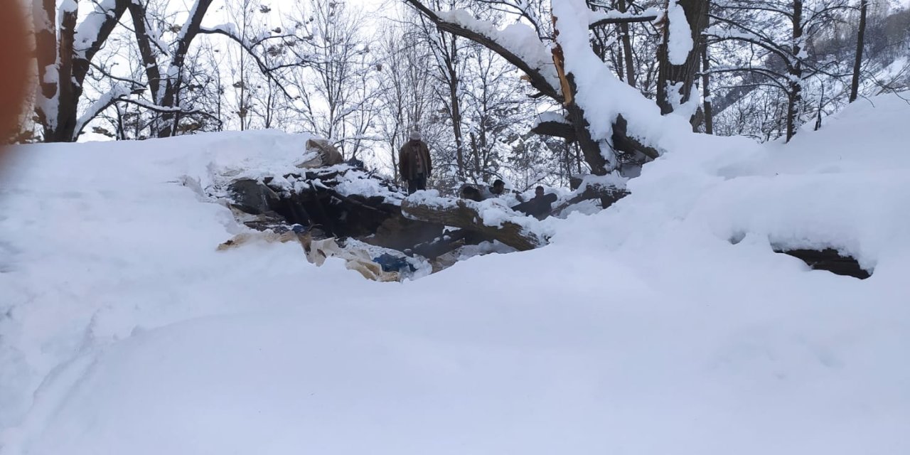 Van'da Ahır Yangını; 1 Katır İle 50 Keçi Öldü