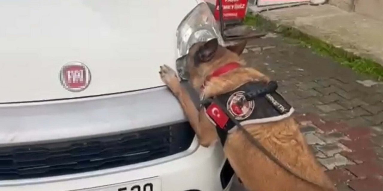 Hafif Ticari Araçtaki Uyuşturucuyu Narkotik Köpeği 'Cash' Buldu