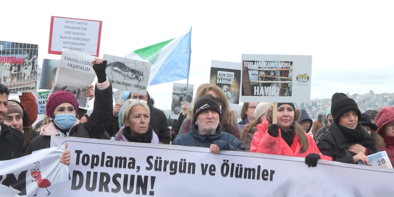 Üsküdar'da Sokak Hayvanları İçin Eylem