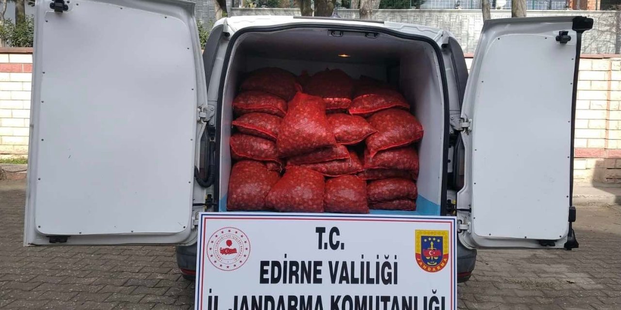 Edirne'de 1 Ton Kaçak Kum Midyesi Ele Geçirildi