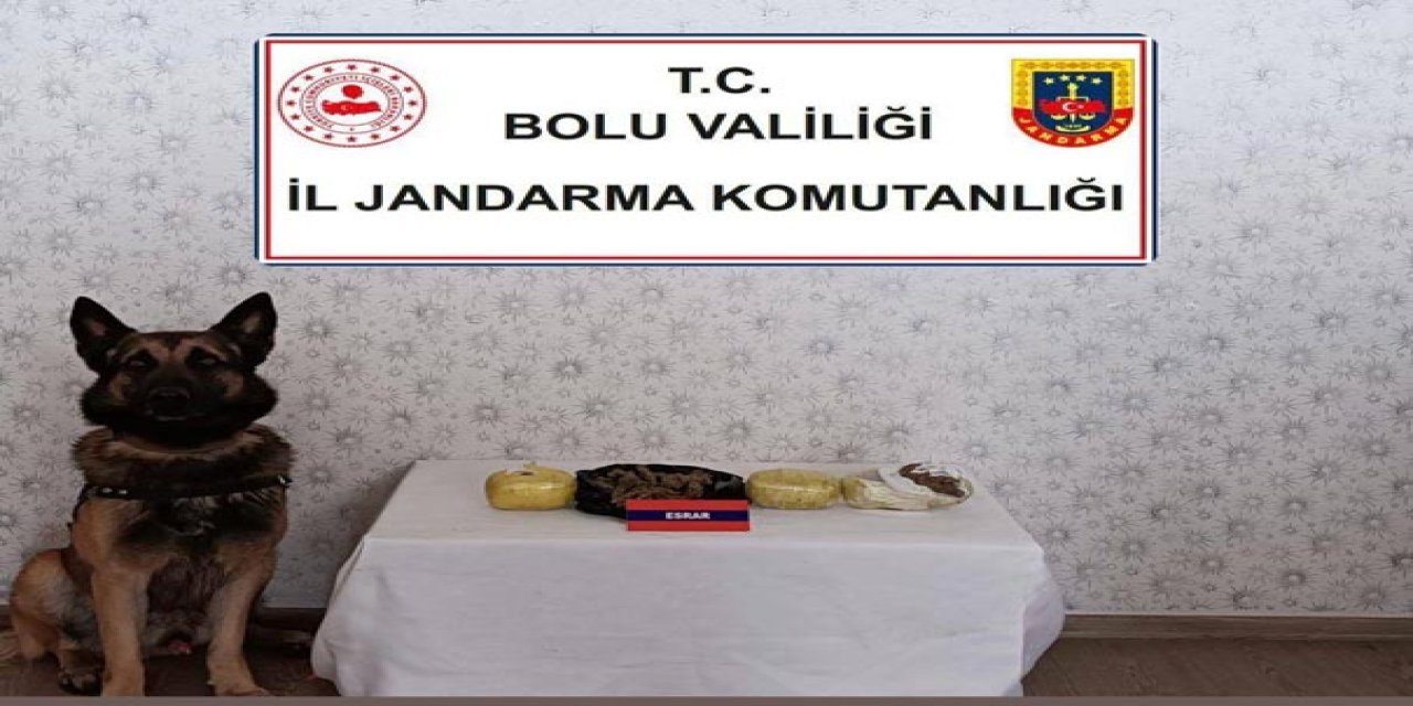 Bebek Maması Kutusunda Esrar Ele Geçirildi