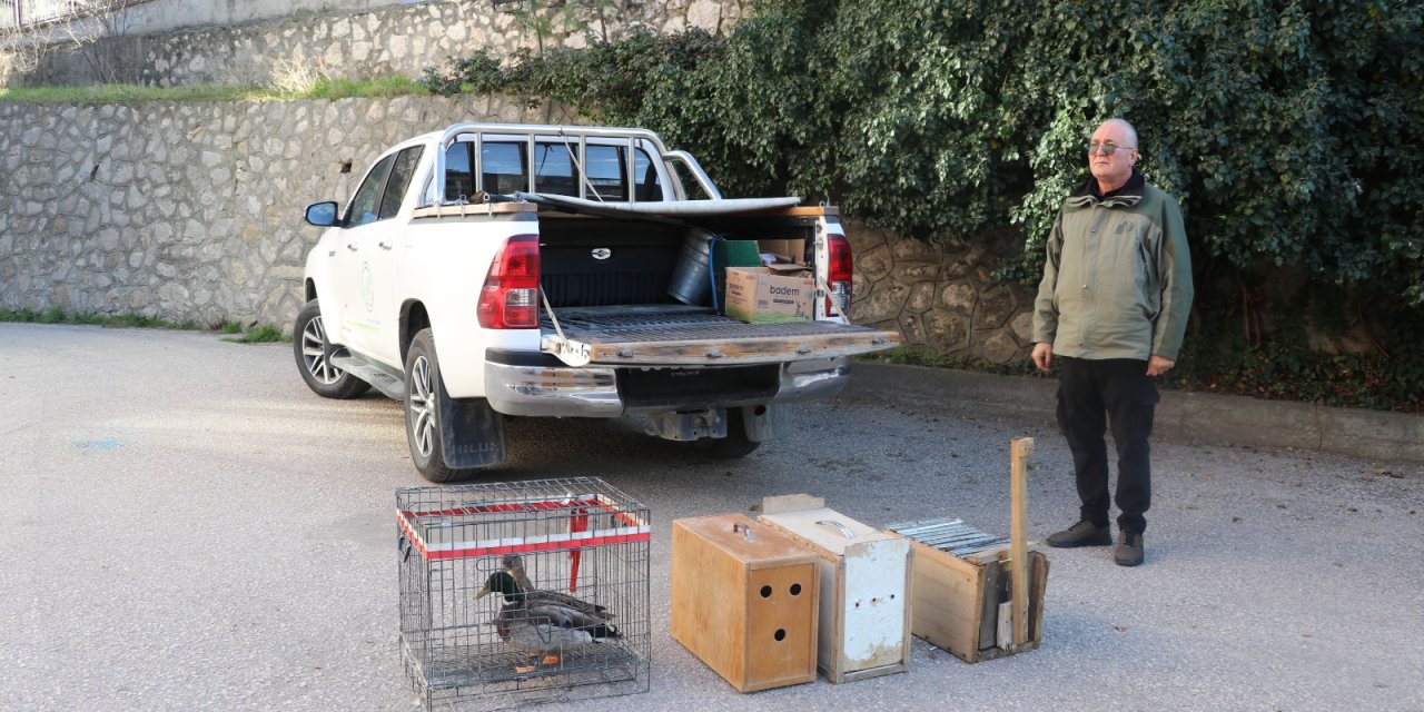 Yabani Kuşları Yakalayıp Satan Şüpheliye Operasyon