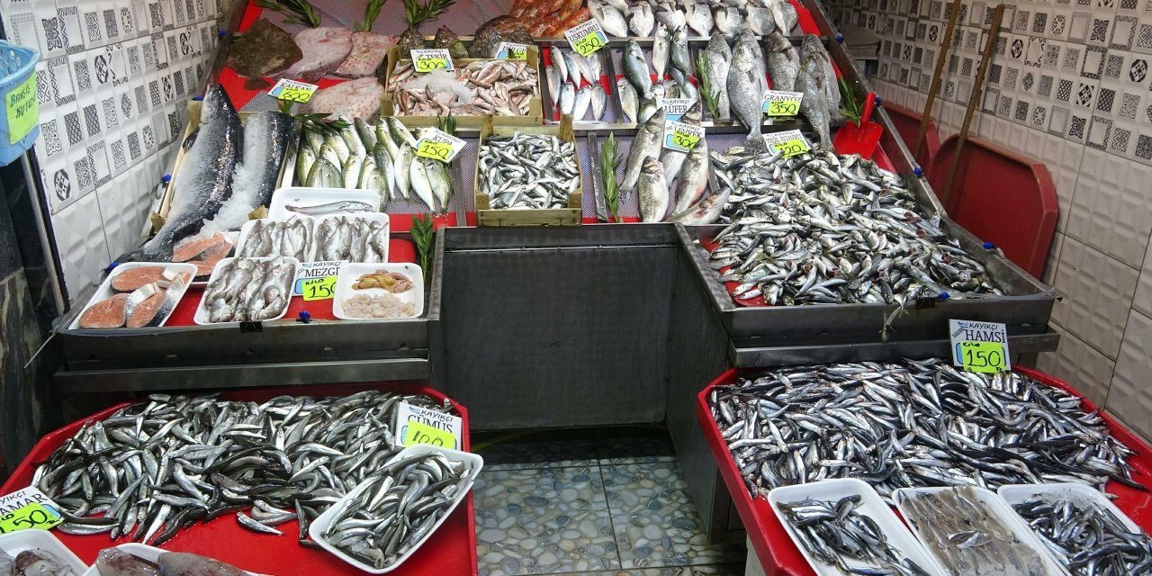 Av Yasağı Sonrası Marmara Denizi'nde Hamsi Bolluğu