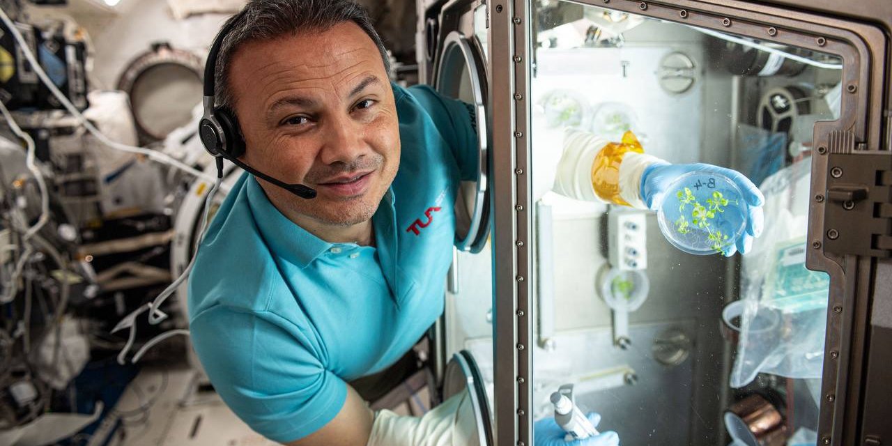 Gezeravcı, Yaptığı Bitki Deneylerinden Fotoğraflar Paylaştı