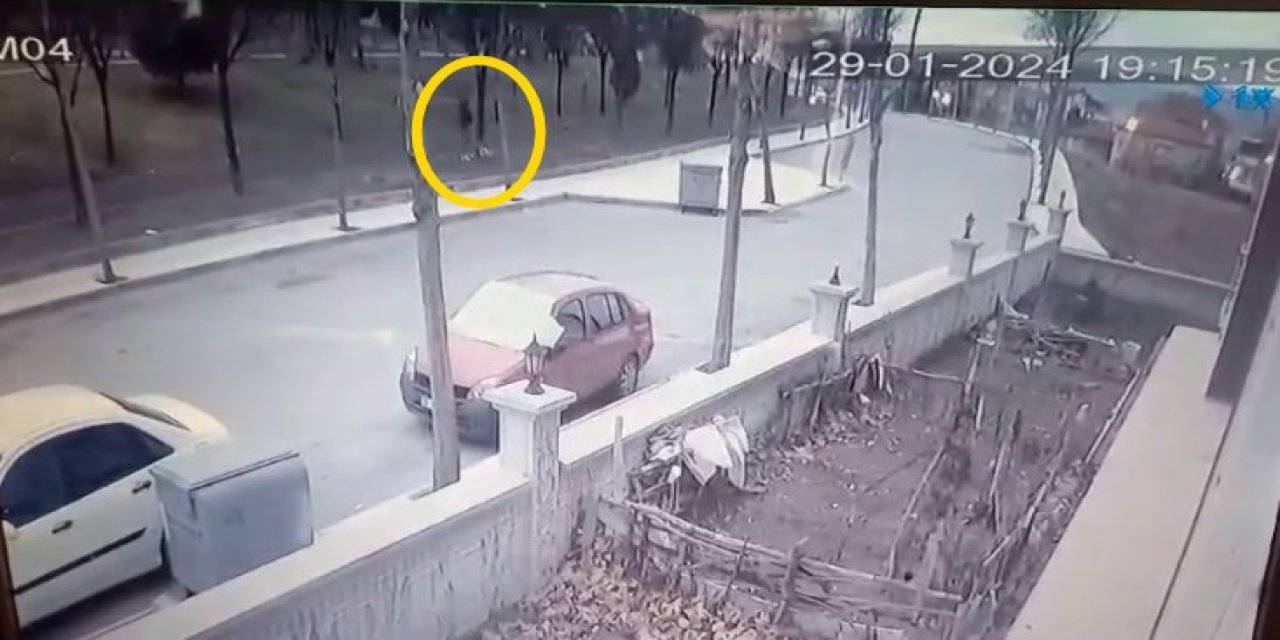 Köpeğini Gezdirirken, Tasmasız 'rottweiler’ın Saldırısına Uğradı