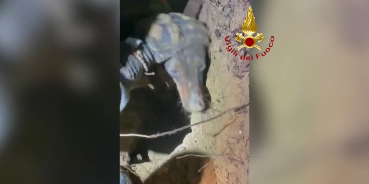 Tilkiyi Kovalarken Bir Çukurda Mahsur Kalan Köpek Kurtarıldı