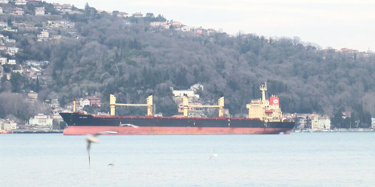 İstanbul Boğazı'nda Denize Düşen Kılavuz Kaptan Hayatını Kaybetti