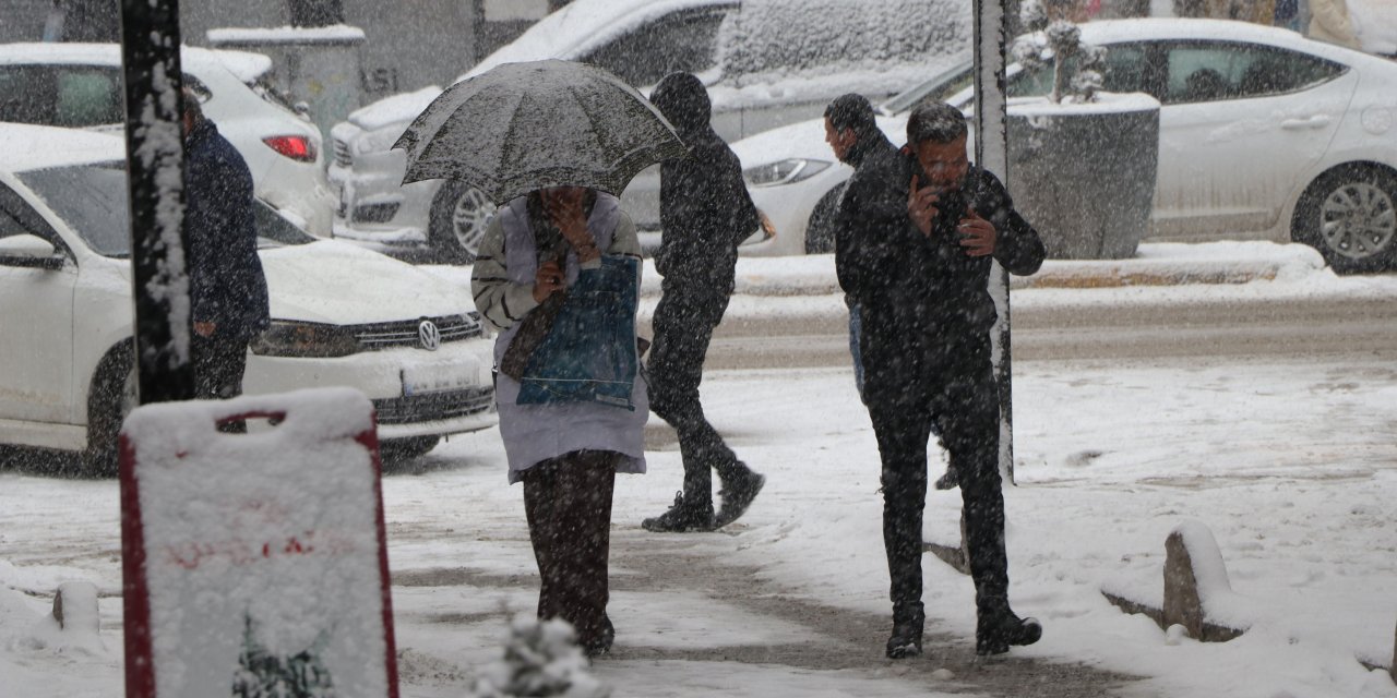 Van'da Kar Yağışı Etkili Oldu