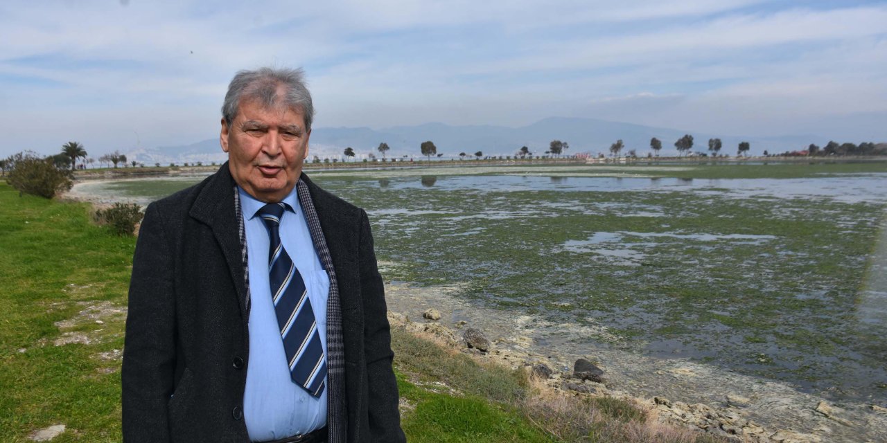 Çakalburnu Lagünü, Deniz Marulları İle Kaplandı; Kuş Cenneti İçin Uyarı