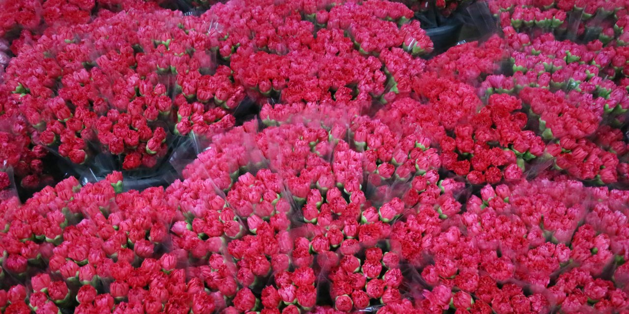 Antalya'dan 6 Şubat Depremlerinde Ölenler İçin Hatay'a 100 Bin Karanfil