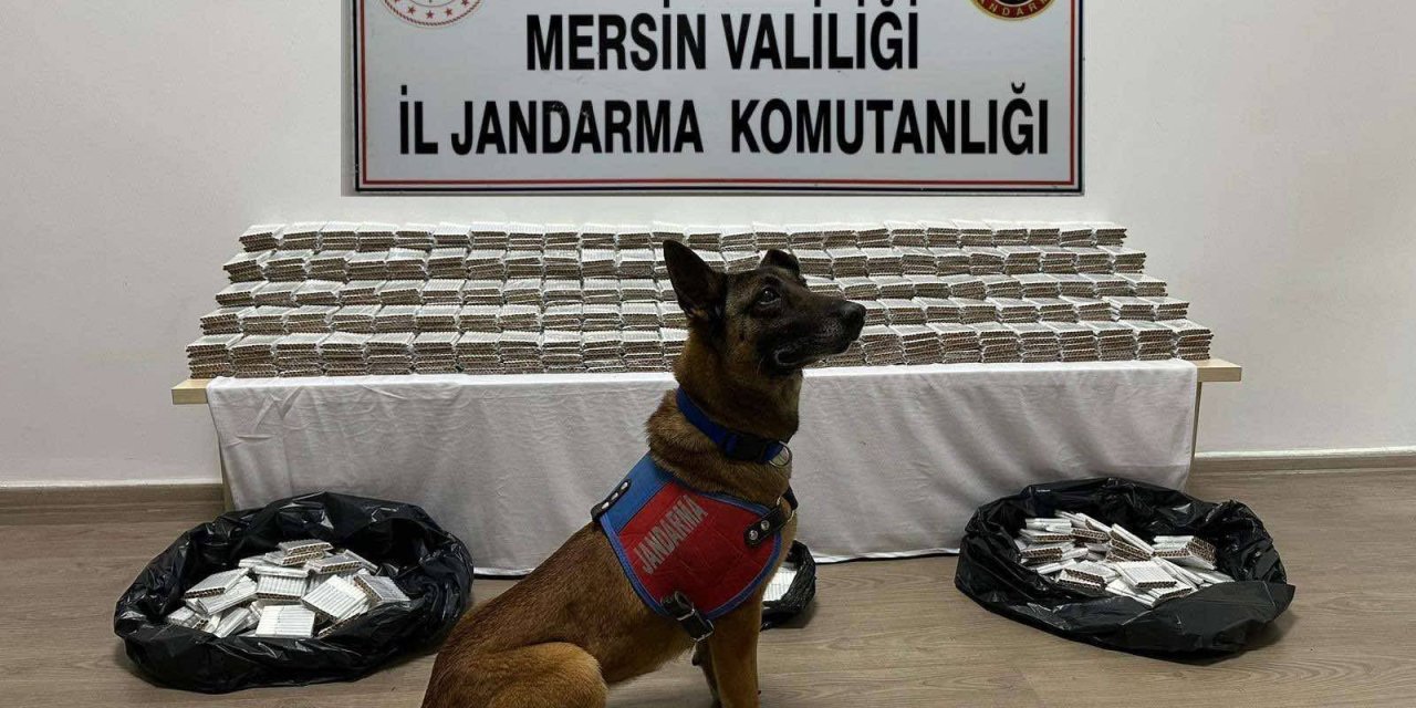 Mersin'de 61 Bin 700 Kaçak Makaron Ele Geçirildi