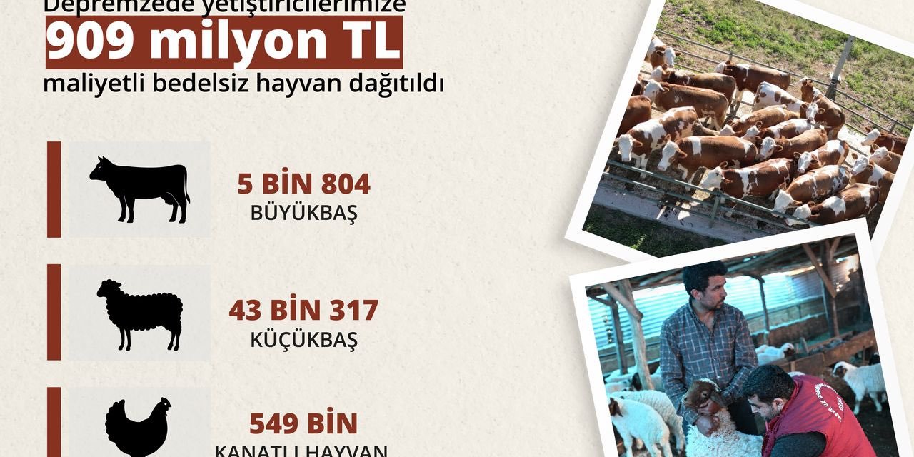 Bakan Yumaklı: 909 Milyon Tl Maliyetli Bedelsiz Hayvan Dağıtıldı