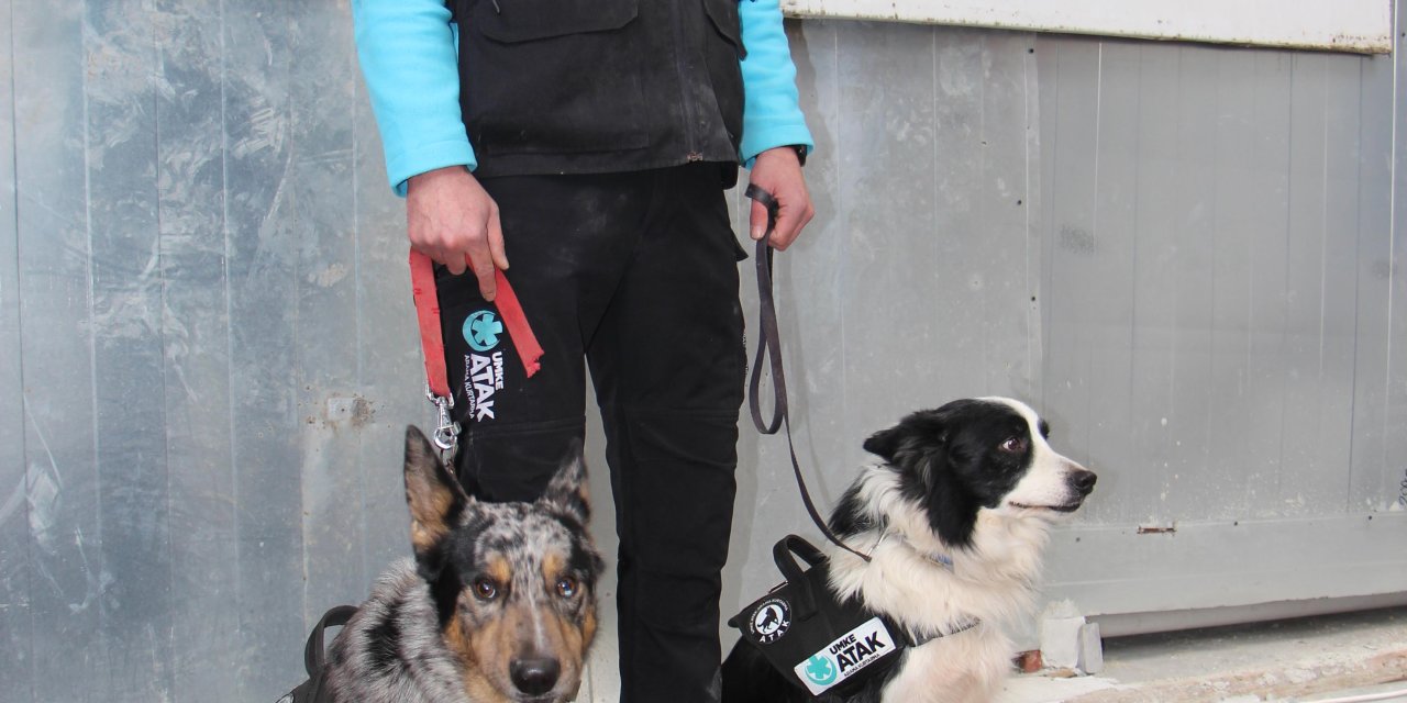 Umke’nın Arama Kurtarma Köpekleri 'Buddy' Ve 'Shollie'