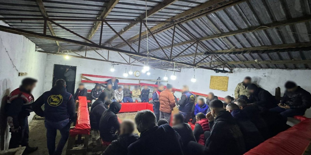 Horoz Dövüştürenlere Baskın; 224 Bin Tl Ceza Kesildi