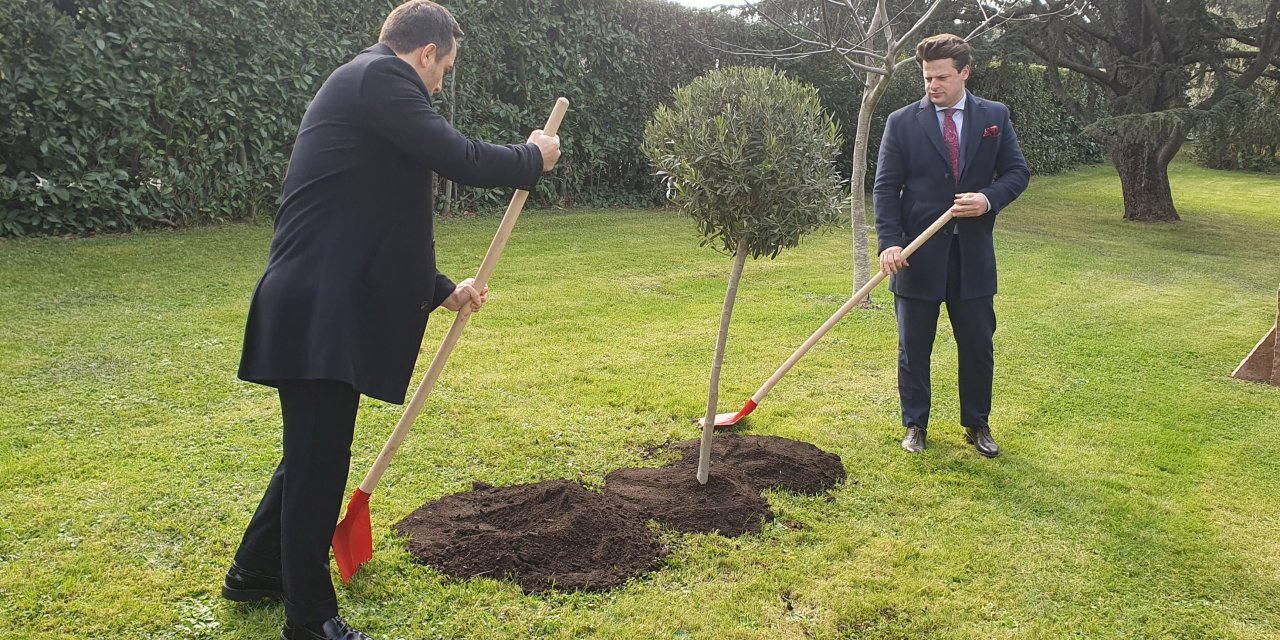 Vatikan’da 6 Şubat Depremlerinde Ölenlerin Anısına Zeytin Ağacı Dikildi