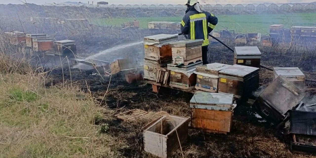 Ot Yangınında Alevler Kovanlara Sıçradı, Binlerce Arı Öldü