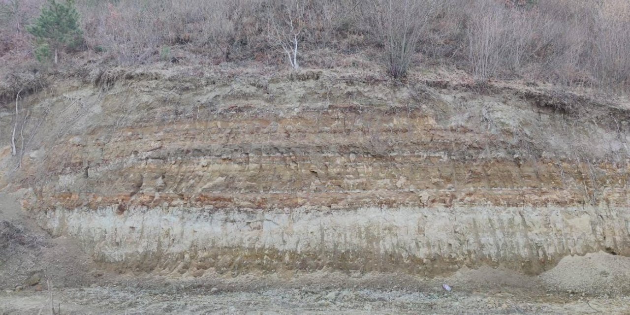 Satın Almak İstediği Tarlayı İncelerken Yamaçtan Yuvarlanıp, Öldü