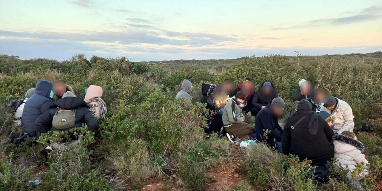 Kaçak Göçmenler, İnsansız Hava Aracıyla Tespit Edilip Yakalandı