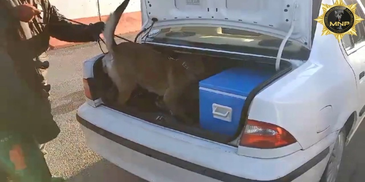 Malatya'da Durdurulan Otomobilde 6 Kilo Skunk Ele Geçirildi; 1 Tutuklama