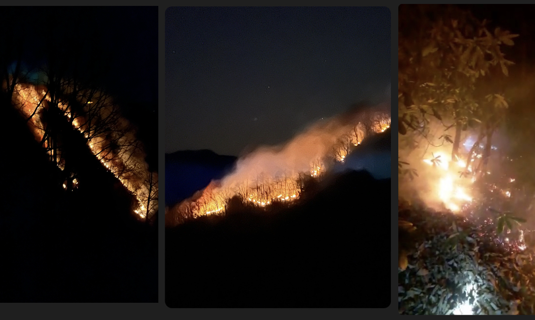 Rize'de çıkan örtü yangını kontrol altına alındı