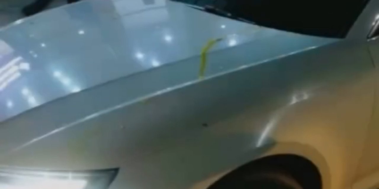 Yeni Malatyaspor Kulüp Başkanı Gevrek'e Yumurtalı Saldırı