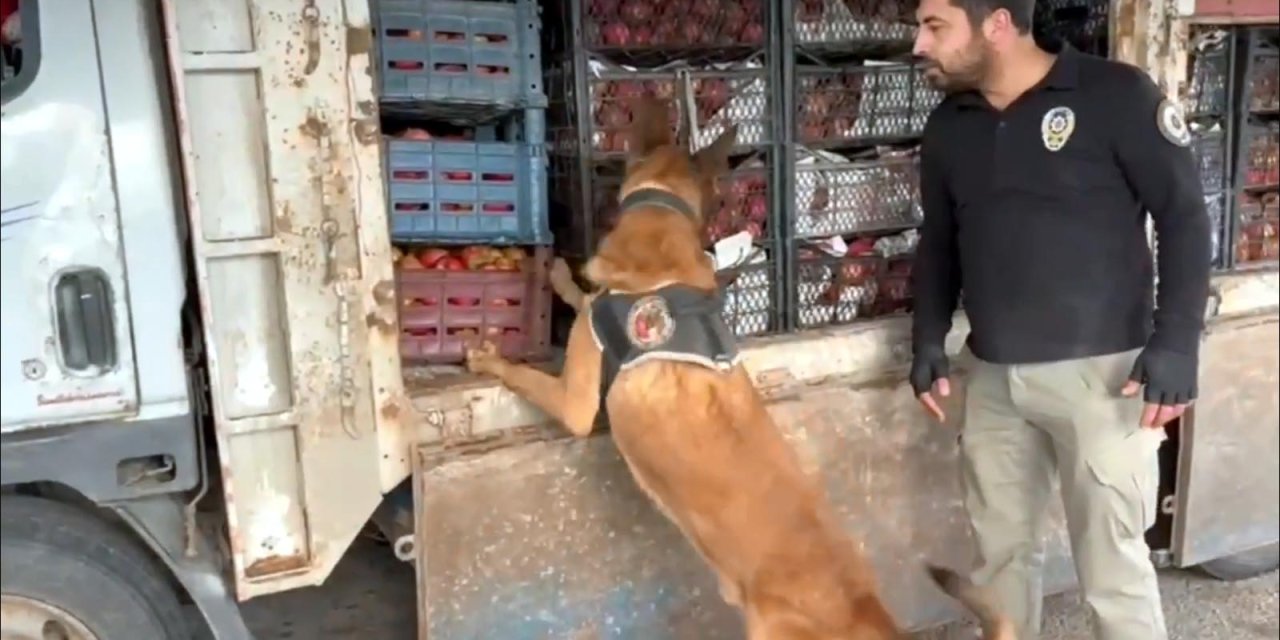 48 İlde 242 Uyuşturucu Satıcısı Yakalandı