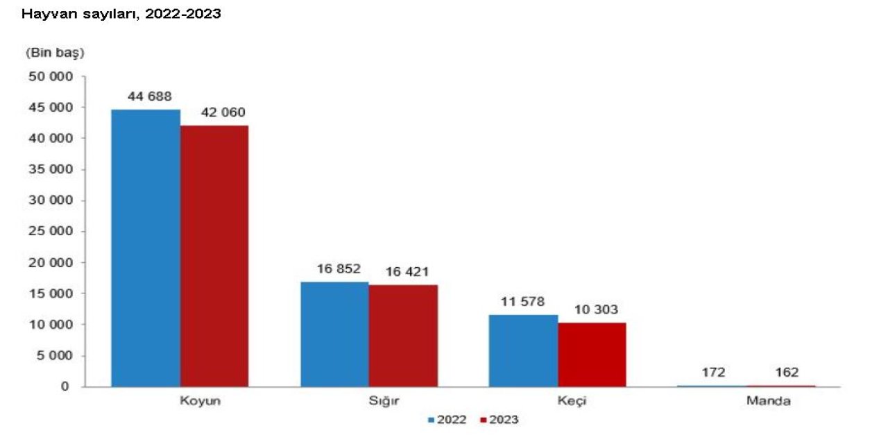 Tüik: Büyükbaş Ve Küçükbaş Sayısı 2023'te Azaldı