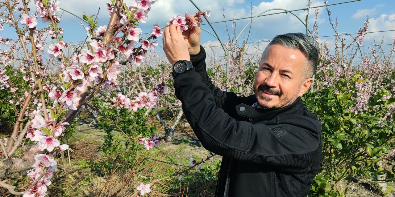 Mersin'de Yalancı Bahara Aldanan Ağaçlar Çiçek Açtı