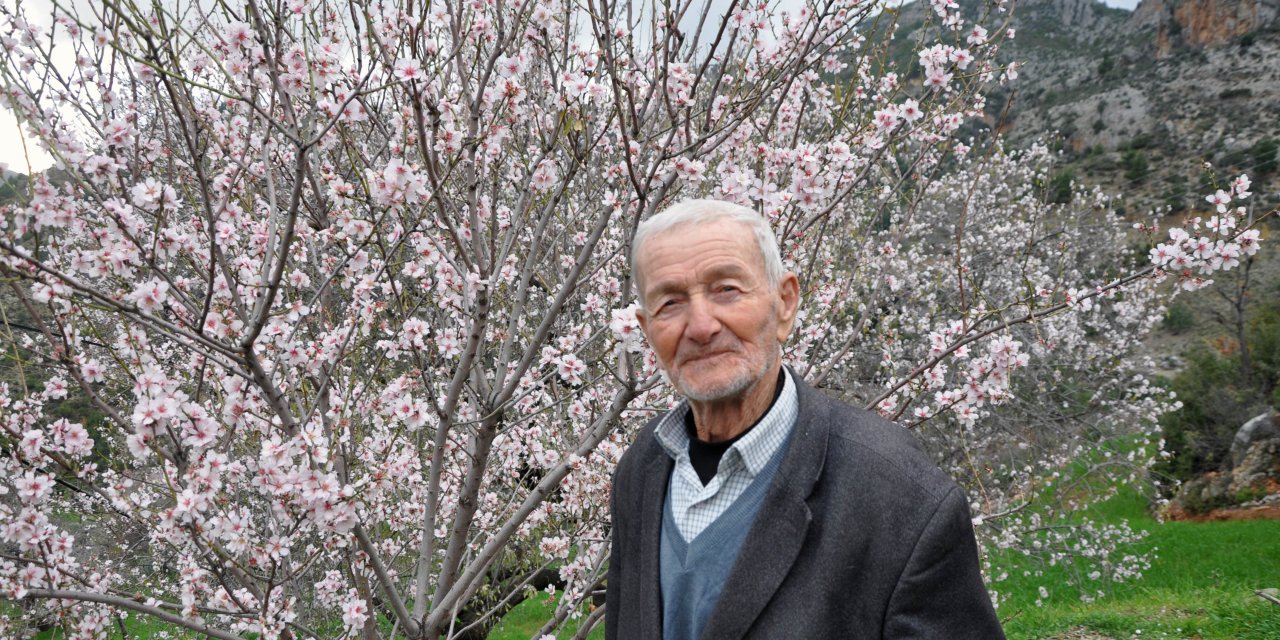 Antalya'da Badem Ağaçları Çiçek Açtı