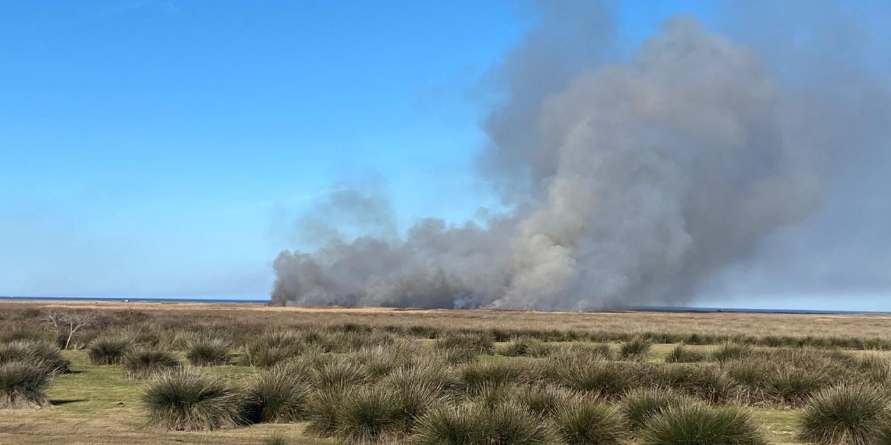 Kızılırmak Kuş Cenneti'nde Çıkan Yangın, Kontrol Altına Alındı