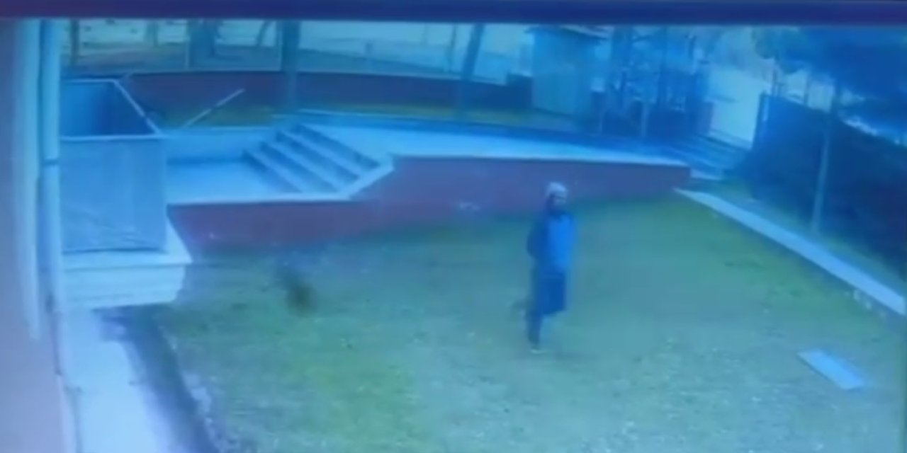 Saplantılı Komşuya Gözaltı (2)