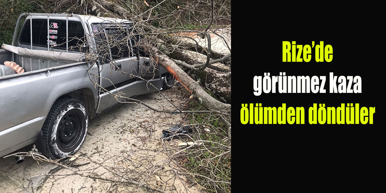 Rize'de kesimi yapılan ağaç seyir halindeki kamyonetin üzerine devrildi