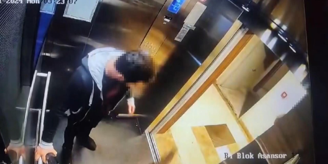 Başakşehir'de Kediyi Tekmeleyerek Öldüren Sanığın Cezasının Ertelenmesine Savcılık İtiraz Etti