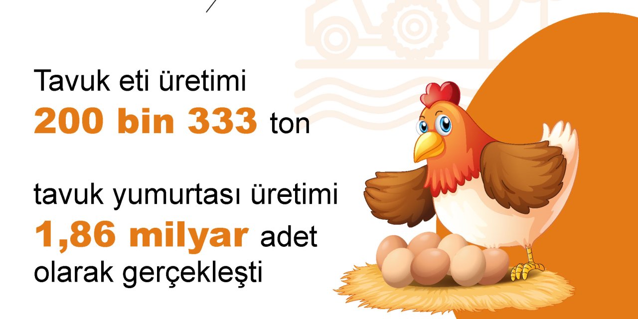 Tüik: Aralıkta Yumurta Üretimi Ve İnek Sütü Miktarı Arttı
