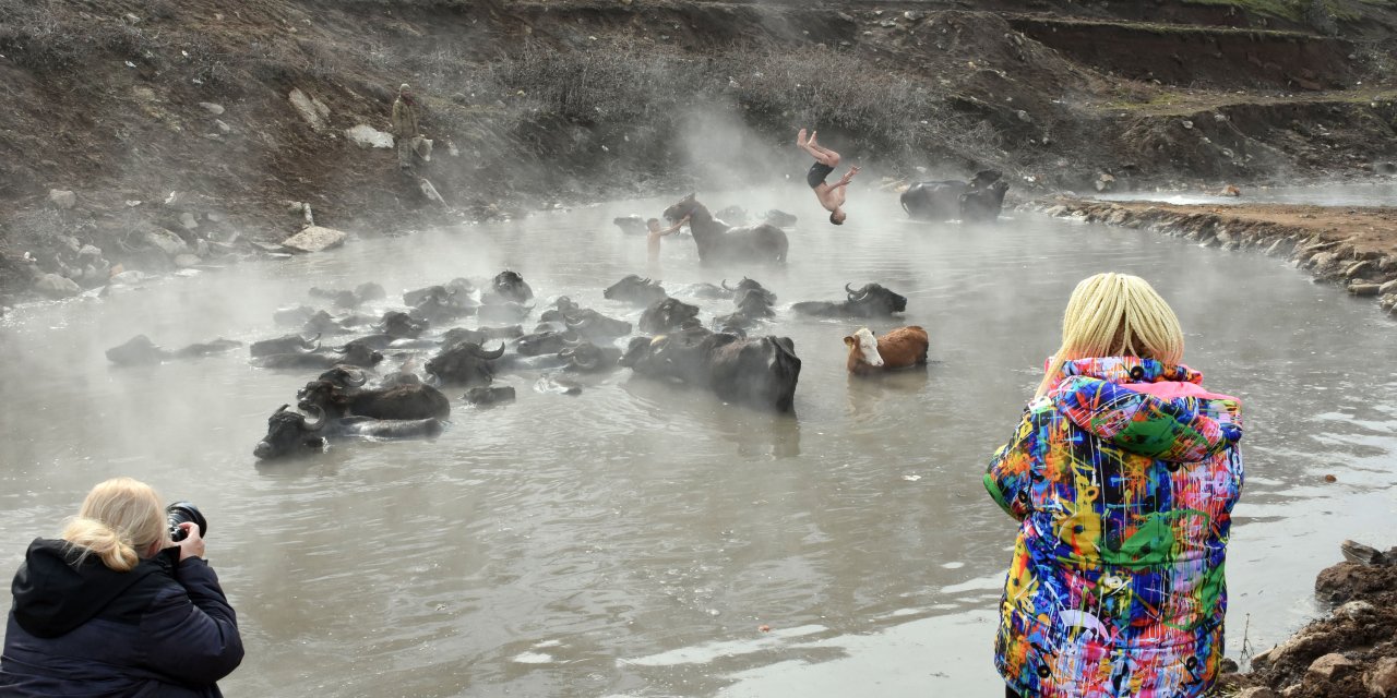 Soğuk Havalarda Manda Ve Atlarını Kaplıcada Temizliyorlar