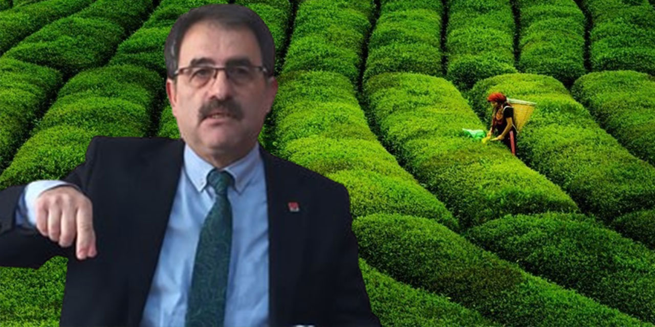 İl Başkanı Deniz: 2024 Yılı Yaş Çay Alım Fiyatı 23 TL Olmalıdır