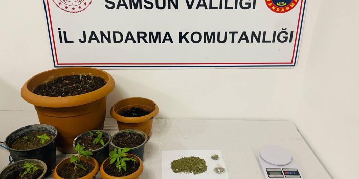Samsun'da uyuşturucu operasyonunda 1 zanlı yakalandı