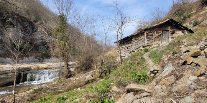 Samsun'daki 150 yıllık su değirmeninin çarkları dönmeye devam ediyor