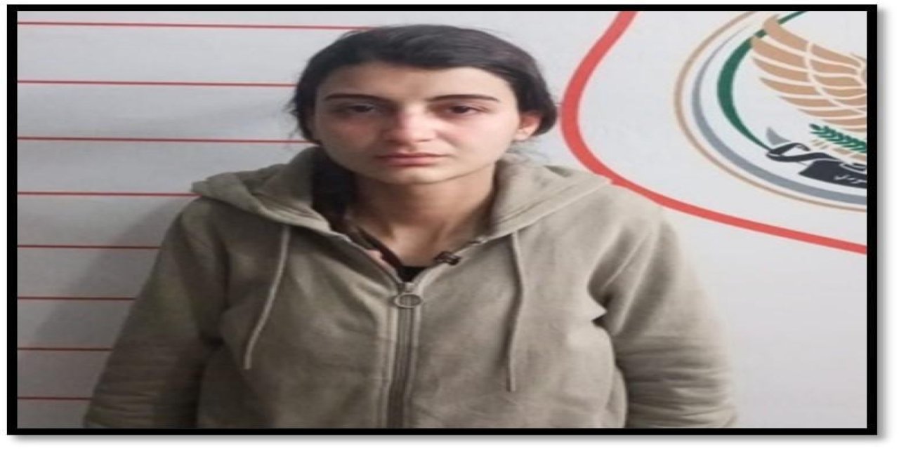 Türkiye'ye sızmaya çalışan kadın terörist yakalandı