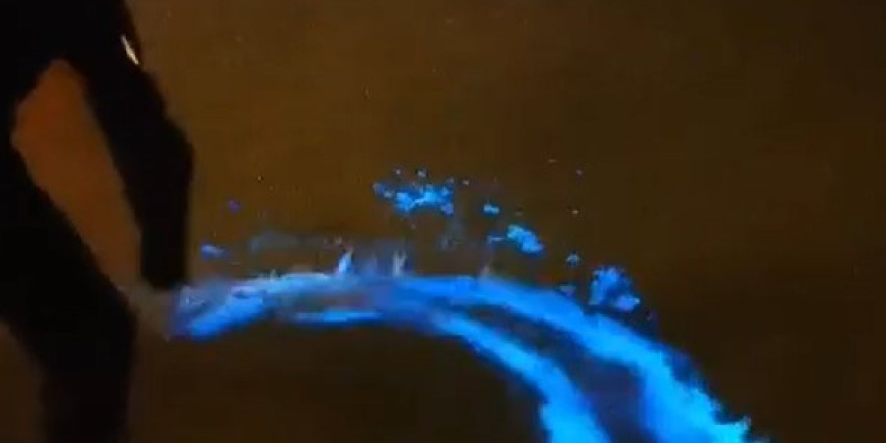 Mudanya Sahilinde Görülen Mavi Işık, Yakamoz Çıktı