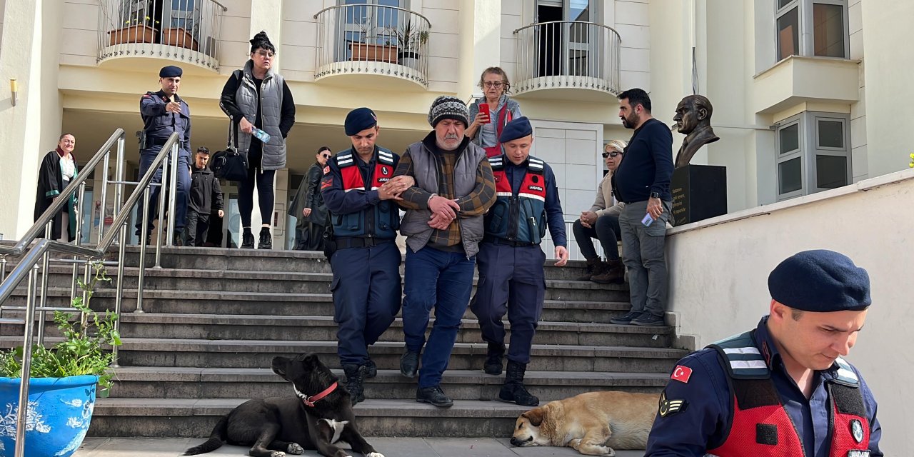 Bodrum'da 4 Köpek İle 3 Kediyi Zehirleyerek Öldüren Şüpheliyi Özel Ekip Yakaladı