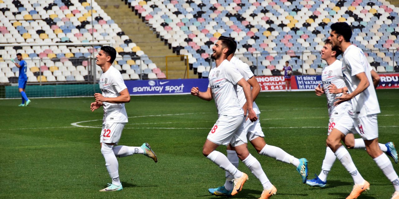 Altınordu - Kırşehir Fsk: 2-1
