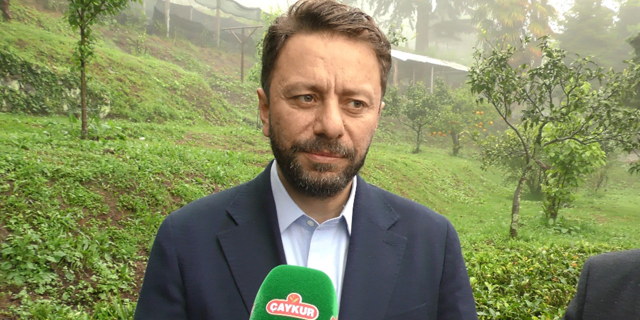 Avcı: Geçen Yıl ki Gibi İyi Bir Çay Sezonu Geçireceğiz