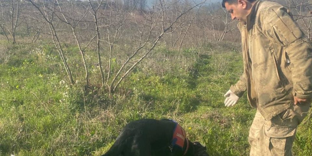 İz Takip Köpeği 'Voltaj', Kaybolan Engelliyi Ormanda Buldu
