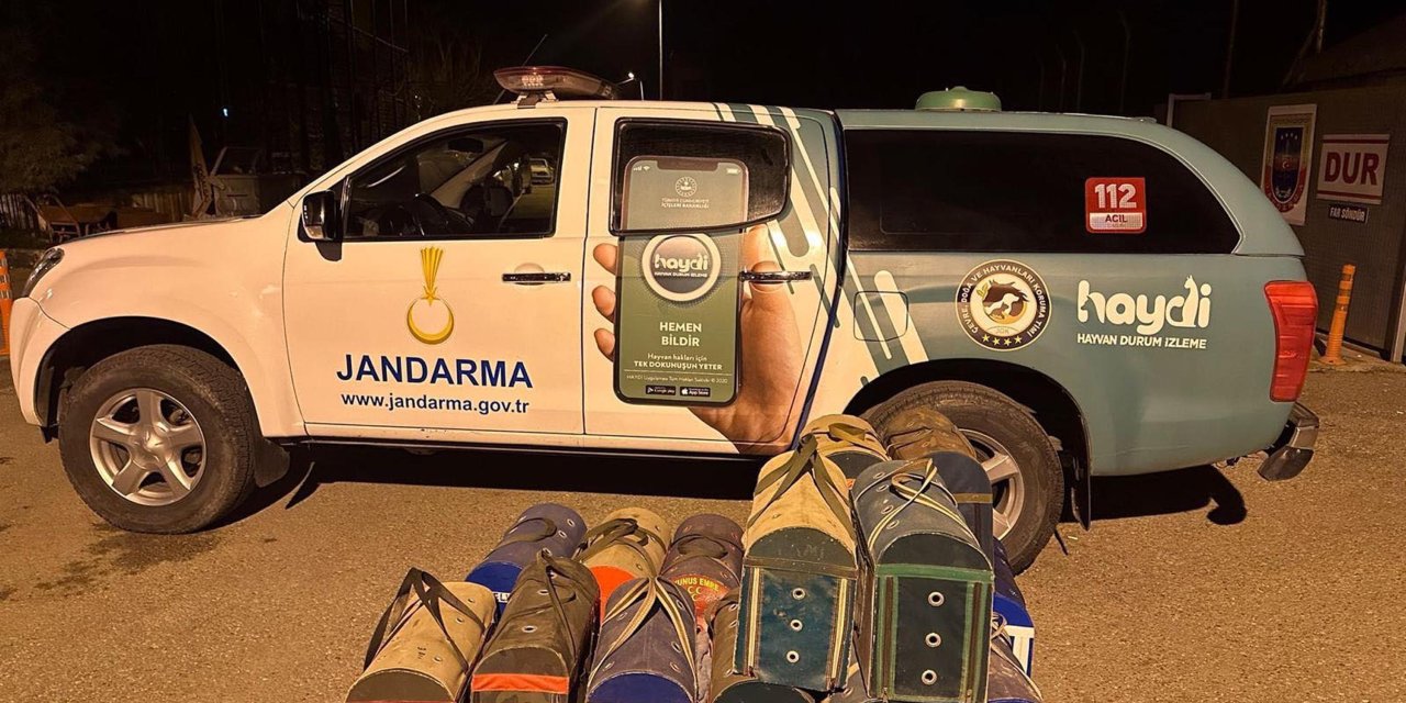 Horoz Dövüşüne Suçüstü; 51 Kişiye İdari Para Cezası