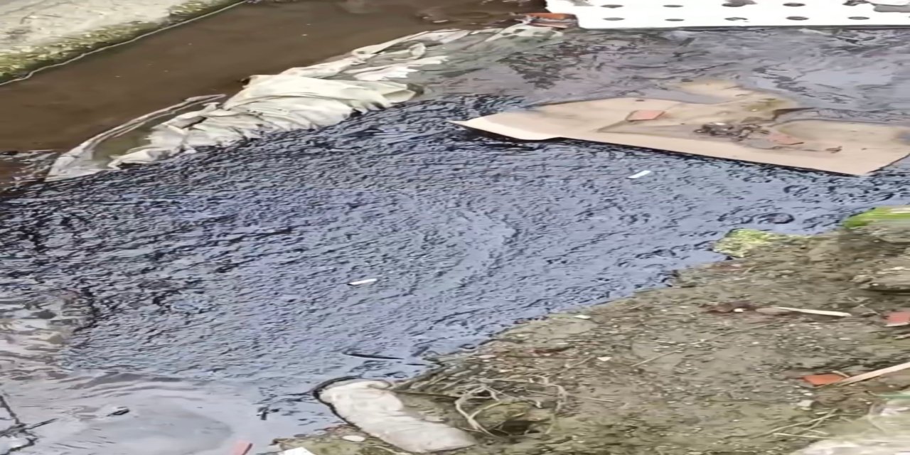 Bartın'da Derede Kirlilik; Askeri Bölgedeki Su Karışmış