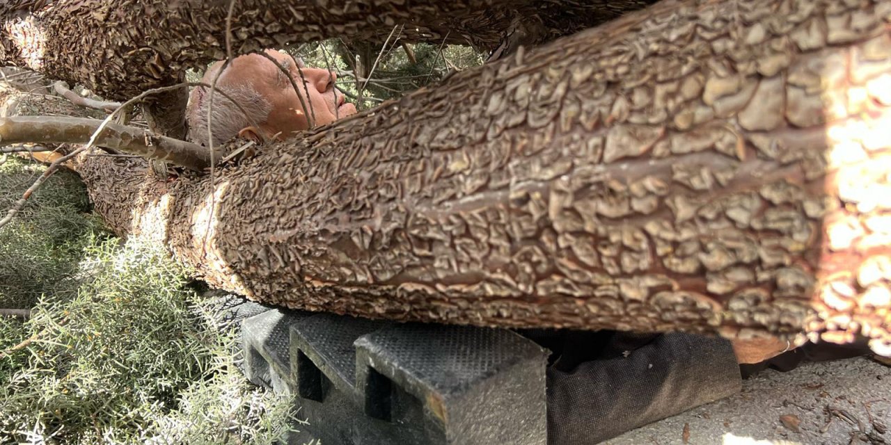 Seçim Çalışmasında Üzerine Ağaç Devrilen Başkan Adayının Ayağı Kırıldı