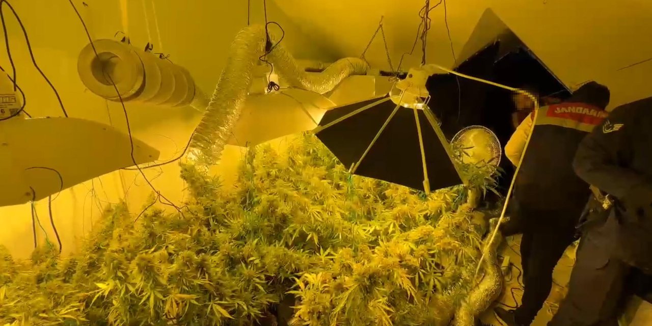 Kilolarca Uyuşturucu İle Yakalanan Şüpheli: Ağrılarına İyi Geldiği İçin Yetiştirip, Kullanıyorum